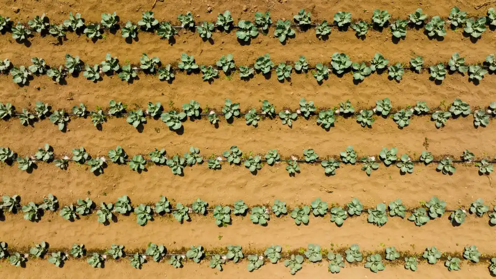 重庆河道治理工程中的生态护坡技术应用与施工要点解析