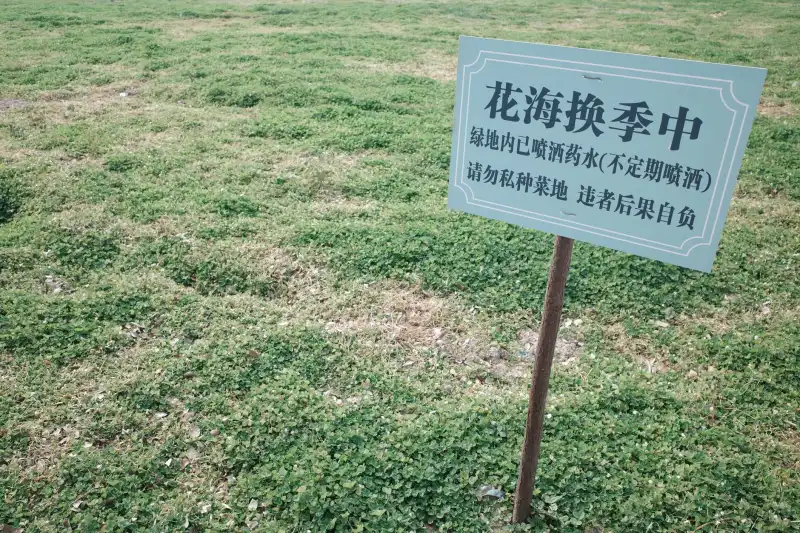水利工程堤防加固施工技术要点与质量控制方法
