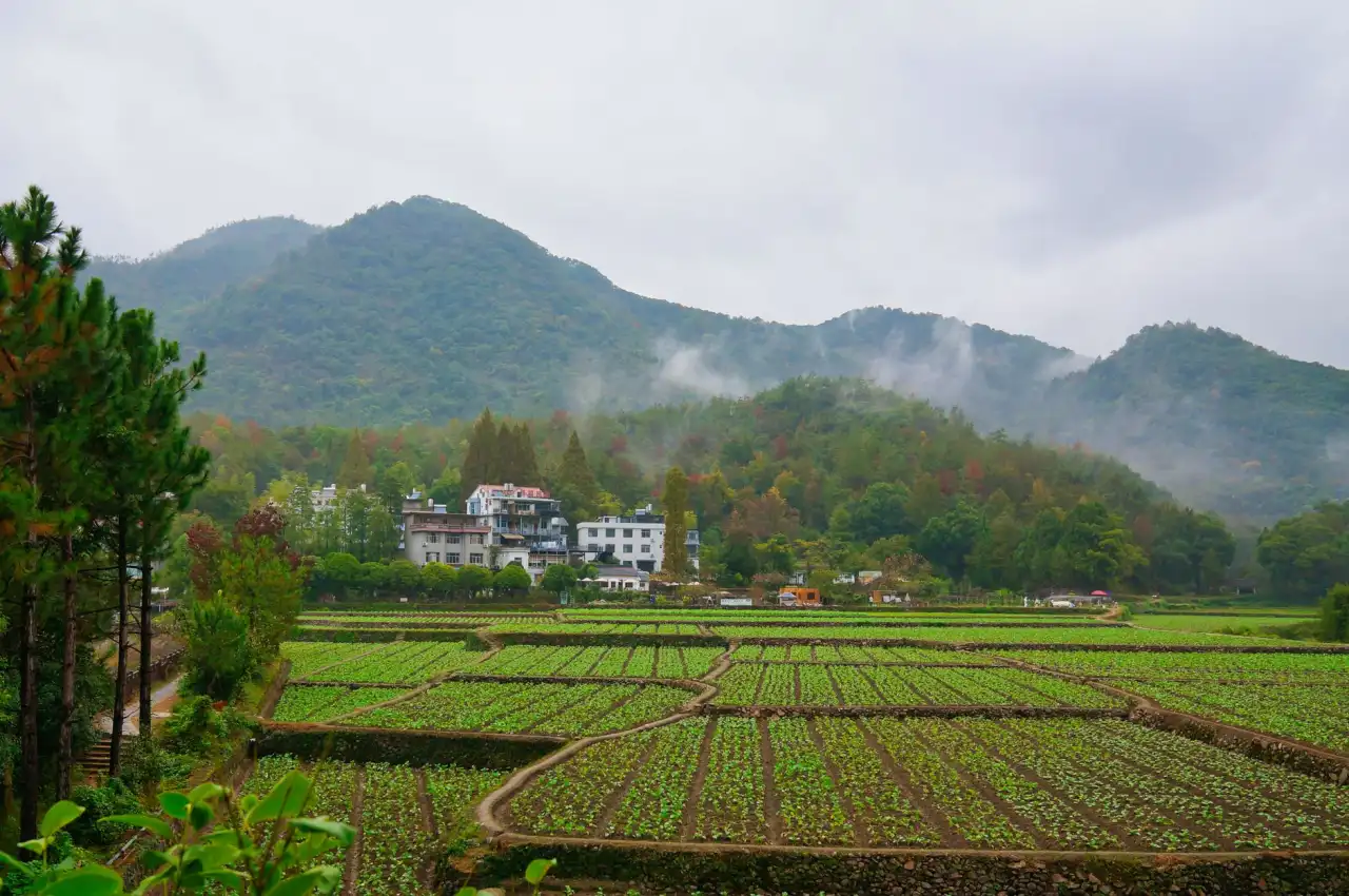 西南地区河道治理施工方案对比：生态护岸与传统护岸的适用场景