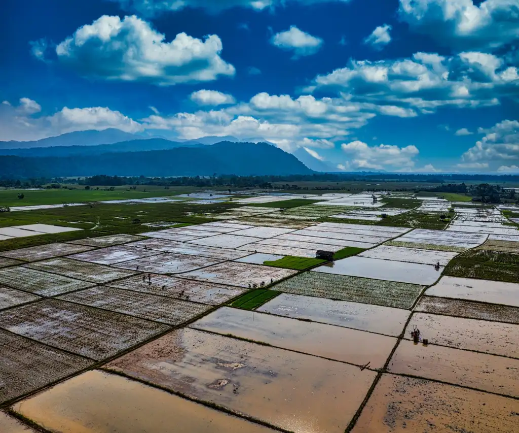 重庆恒凡达水利工程河道治理施工方案与工艺要点解析