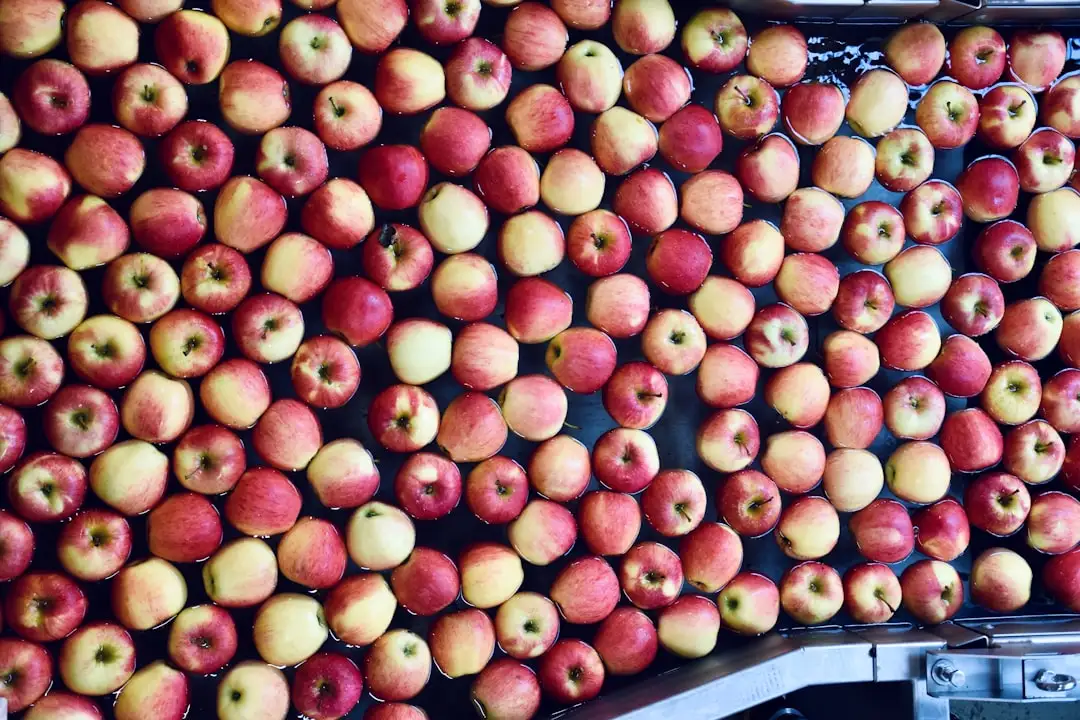 西南山区河道治理关键技术要点与施工方案优化实践
